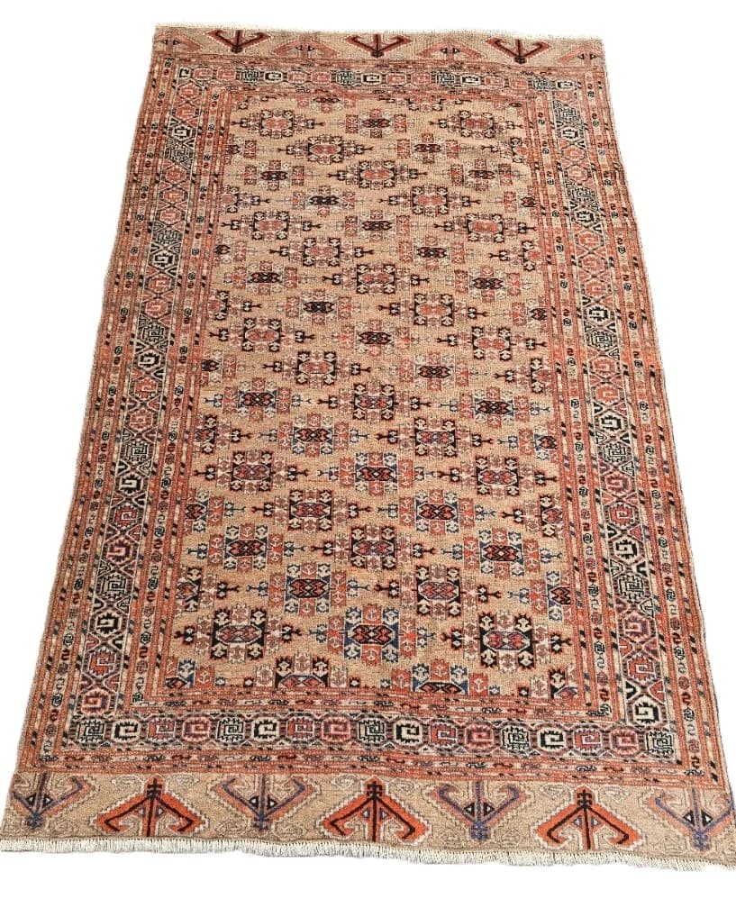 Turkmensk Gul